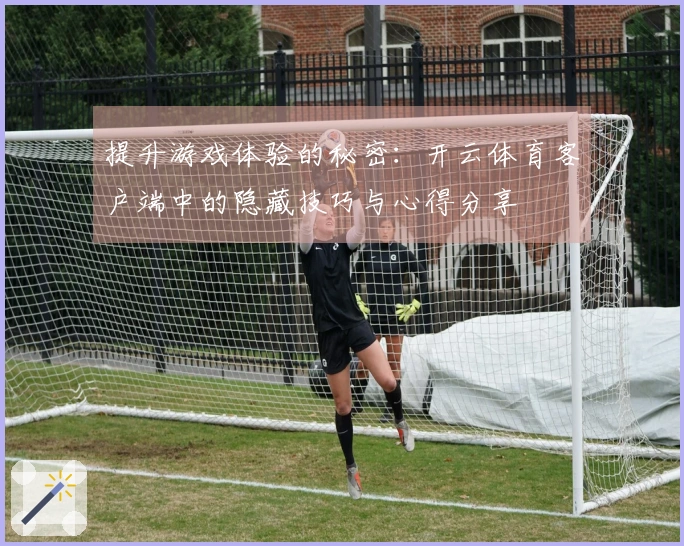 提升游戏体验的秘密：开云体育客户端中的隐藏技巧与心得分享