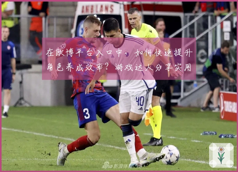 在欧博平台入口中，如何快速提升角色养成效率？游戏达人分享实用技巧！