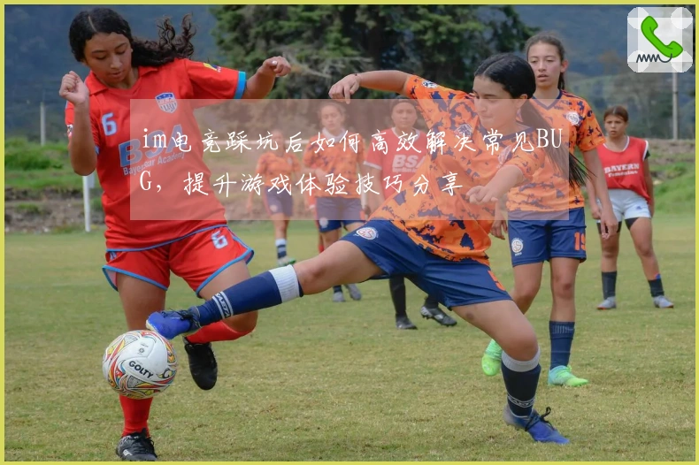 im电竞踩坑后如何高效解决常见BUG，提升游戏体验技巧分享