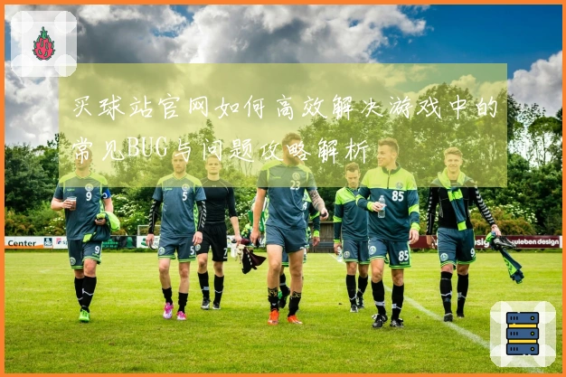 买球站官网如何高效解决游戏中的常见BUG与问题攻略解析